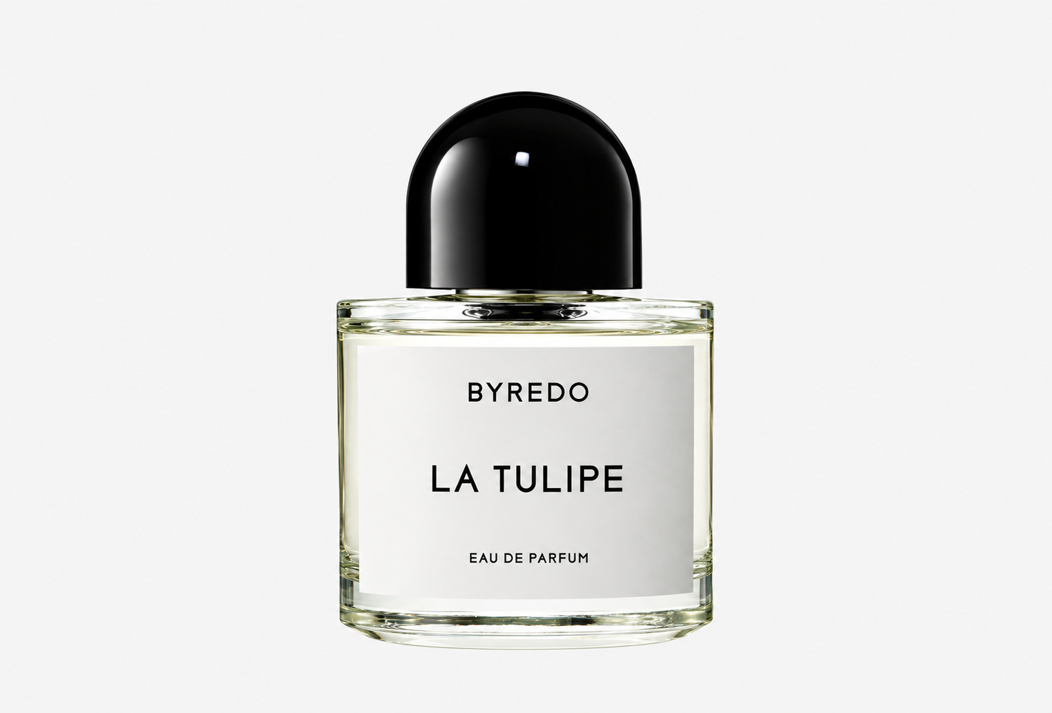 BYREDO LA TULIPE